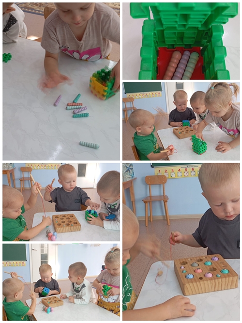 Collage 20251016 112104