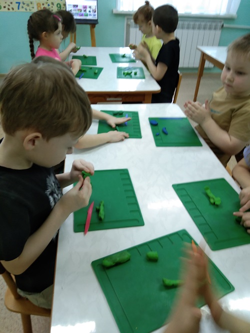 IMG 20250129 103601