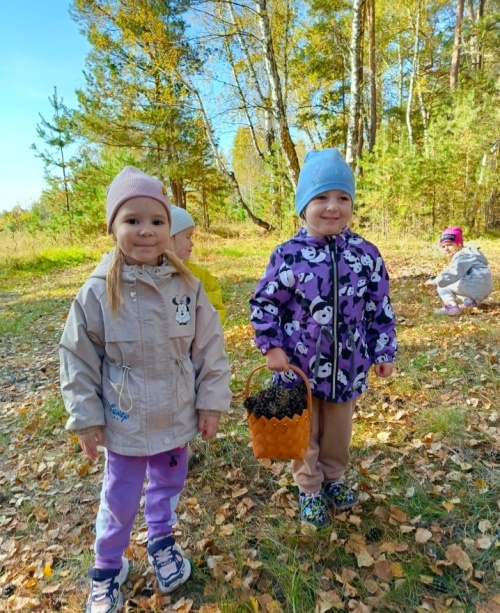 Screenshot 20250918 130308 com whatsapp MediaViewActivity edit 2653084709195520