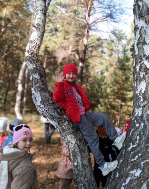 Screenshot 20250918 130845 com whatsapp MediaViewActivity edit 2653400809048846